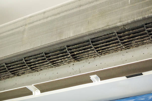 Best Air Duct Cleaning Company Near Me  in Quakertown, PA